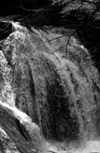 water1